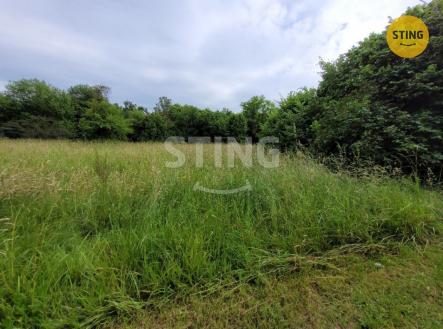 20240612_154508.jpg | Prodej - pozemek pro bydlení, 853 m²