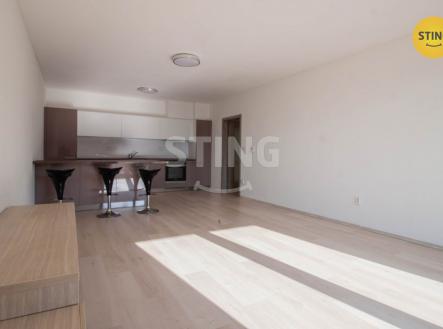 IMG_7784.jpg | Pronájem bytu, 1+kk, 52 m²