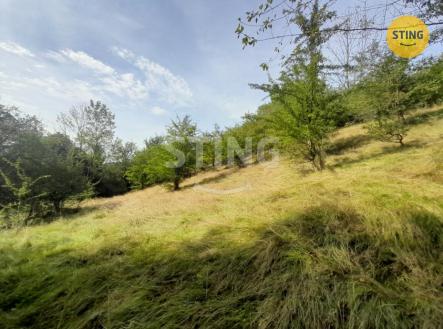 20240822_152047.jpg | Prodej - pozemek, trvalý travní porost, 31 882 m²