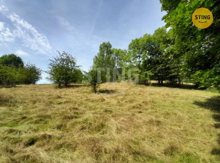 20240822_152159.jpg | Prodej - pozemek, trvalý travní porost, 31 882 m²