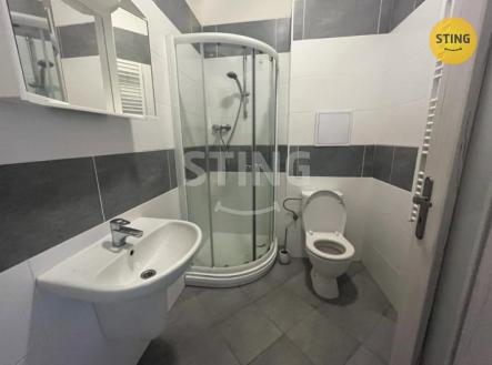 N3.jfif | Pronájem bytu, 1+kk, 28 m²