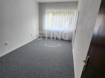 20241108_103327.jpg | Pronájem bytu, 2+kk, 37 m²