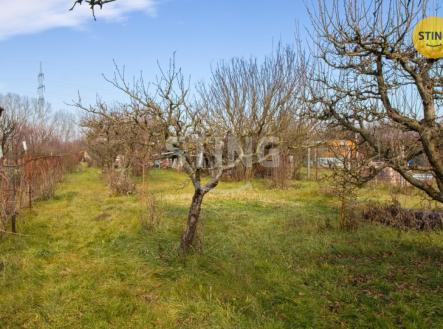 IMG_6971zonX.jpg | Prodej - pozemek, zahrada, 2 345 m²