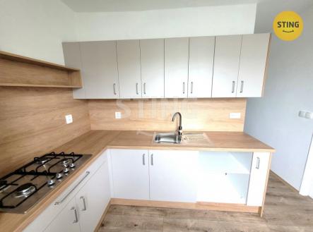 Pronájem bytu, 2+1, 53 m² obrázek