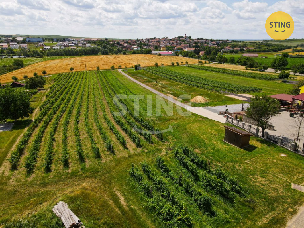 DJI_0142.jpg
