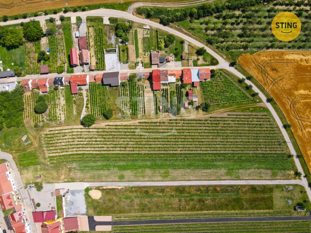 DJI_0131.jpg