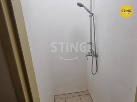 20241101_170732.jpg | Pronájem bytu, garsoniéra, 14 m²