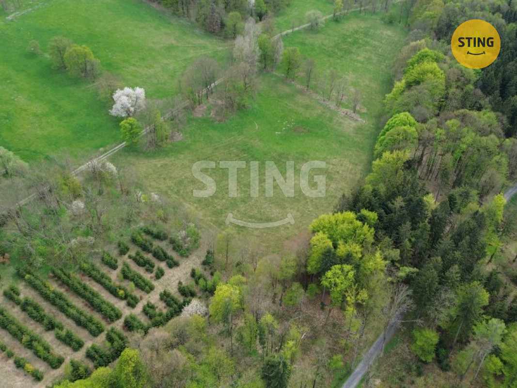 dji_fly_20250424_141034_557_1745496873780_photo_optimized.jpg