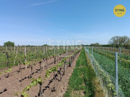 IMG_20250430_120013.jpg | Prodej - pozemek, ostatní, 1 110 m²