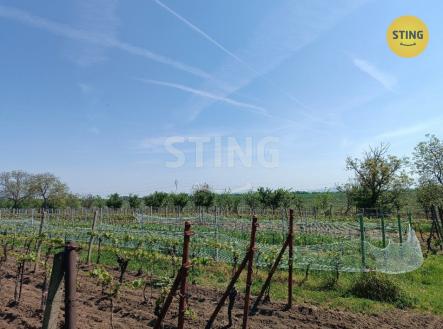 IMG_20250430_115913.jpg | Prodej - pozemek, ostatní, 1 110 m²