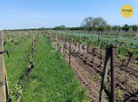 IMG_20250430_115909.jpg | Prodej - pozemek, ostatní, 1 110 m²