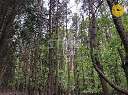 IMG_4083.jpeg | Prodej - pozemek, les, 10 502 m²