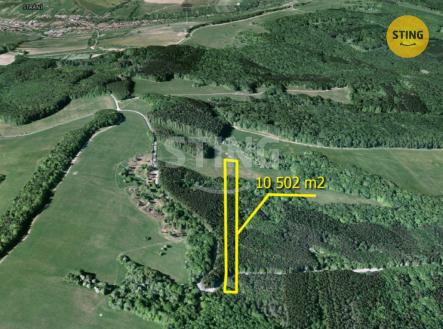 Bez názvu-1 2.jpg | Prodej - pozemek, les, 10 502 m²