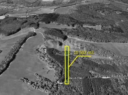 Bez názvu-1.jpg | Prodej - pozemek, les, 10 502 m²