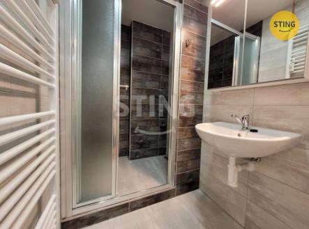foto 16.jpg | Pronájem bytu, 1+1, 42 m²