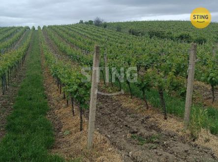 IMG_20250528_130423.jpg | Prodej - pozemek, ostatní, 3 398 m²