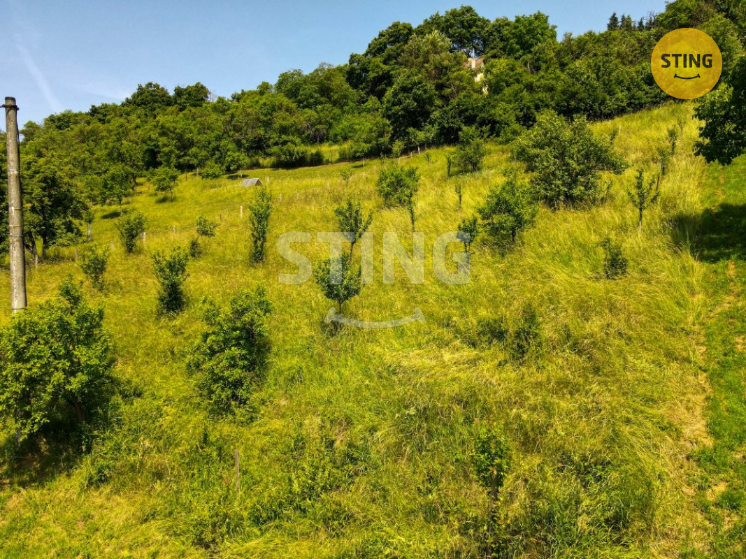 DJI_0056.jpg