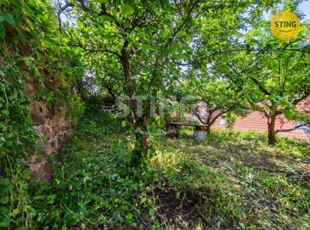 IMG_20250610_110128.jpg | Prodej - dům/vila, 70 m²