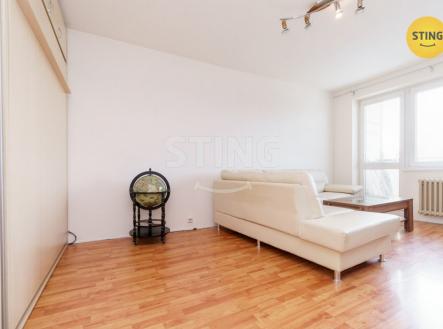 DSC07391.jpg | Pronájem bytu, 1+1, 45 m²