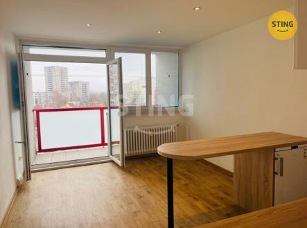 IMG_6298.jpg | Pronájem bytu, garsoniéra, 27 m²