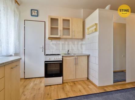 IMG_7613_hdrzonX.jpg | Pronájem bytu, 1+1, 54 m²