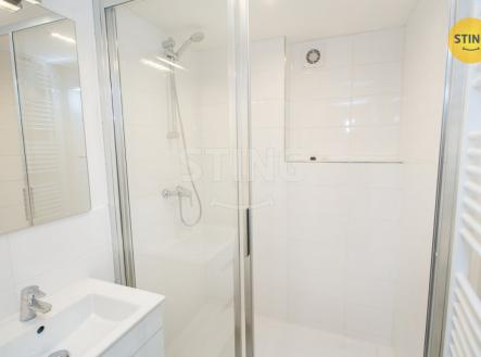 IMG_3543.jpg | Pronájem bytu, 2+1, 68 m²