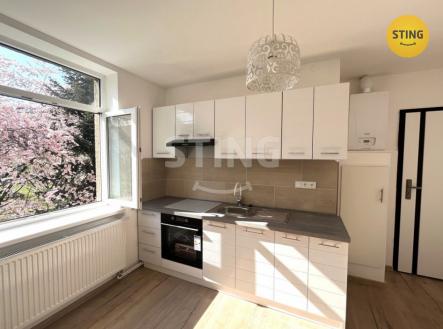 Pronájem bytu, 1+1, 54 m² obrázek