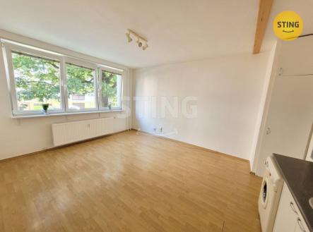 Pronájem bytu, 1+kk, 30 m² obrázek