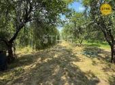 Prodej - pozemek, zahrada, 3 628 m²