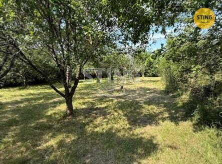 IMG_7094.jpg | Prodej - pozemek, zahrada, 3 628 m²