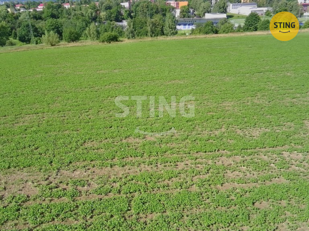 6177137_100DRONE_SING0042.JPG