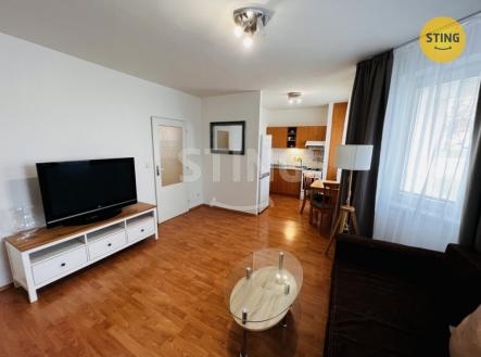 D9379D81-56F3-4C2C-A6AE-E36850 | Pronájem bytu, 1+kk, 38 m²