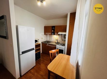 6056DE8B-633C-4ACA-8C45-F79C3D | Pronájem bytu, 1+kk, 38 m²
