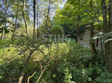 Obrázek WhatsApp, 2025-08-08 v 12.28.38_c81b6cdc.jpg | Prodej - pozemek, zahrada, 4 381 m²