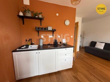 IMG_5039.jpg | Pronájem bytu, 1+kk, 25 m²