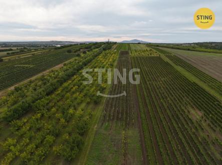 DJI_20250916163736_0003_D.JPG | Prodej - pozemek, ostatní, 5 412 m²