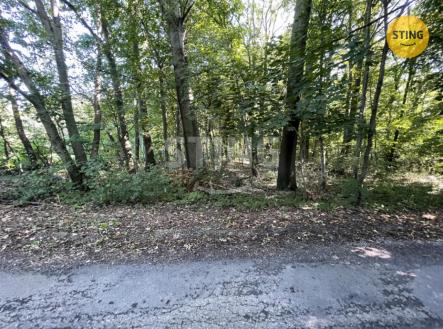 IMG_1933.jpeg | Prodej - pozemek, les, 9 789 m²