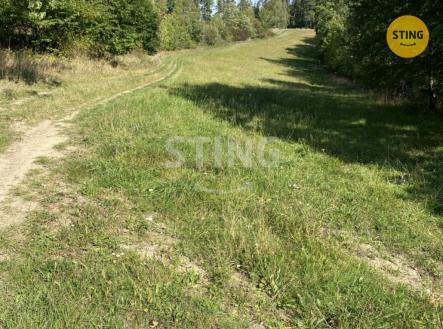 IMG_6351.JPG | Prodej - pozemek, trvalý travní porost, 8 429 m²