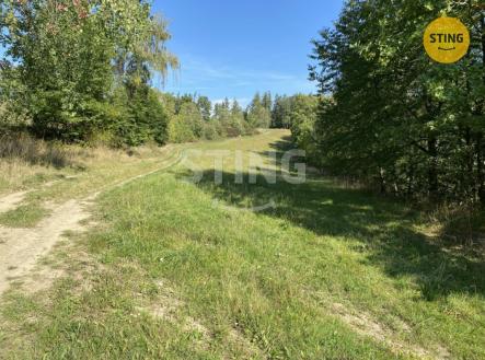 IMG_6352.JPG | Prodej - pozemek, trvalý travní porost, 8 429 m²