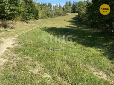 IMG_6350.JPG | Prodej - pozemek, trvalý travní porost, 8 429 m²