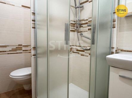 IMG_9106 (1).jpg | Pronájem bytu, 1+1, 32 m²