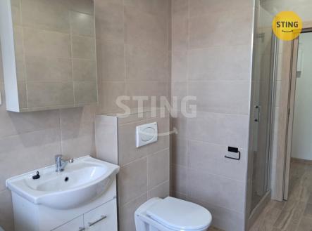 WhatsApp Image 2025-10-10 at 16.19.26 (14).jpeg | Pronájem bytu, 1+1, 55 m²