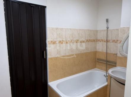 IMG_7088.JPEG | Pronájem bytu, 2+1, 44 m²