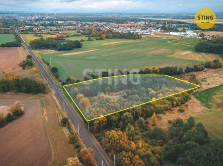 Pozemek Srnojedy (4).jpg | Prodej - pozemek, zemědělská půda, 12 546 m²