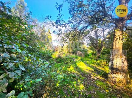 20251008_103221.jpg | Prodej - pozemek, zahrada, 2 697 m²