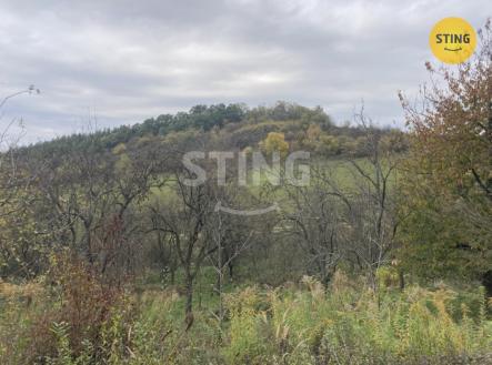 IMG_3662.jpeg | Prodej - pozemek, ostatní, 4 839 m²