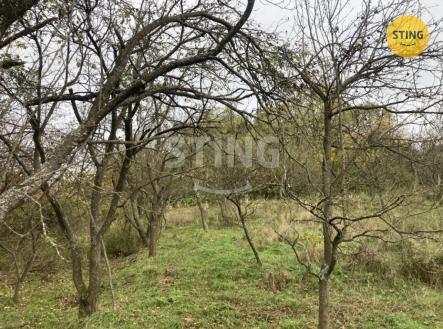 IMG_3658.jpeg | Prodej - pozemek, ostatní, 4 839 m²