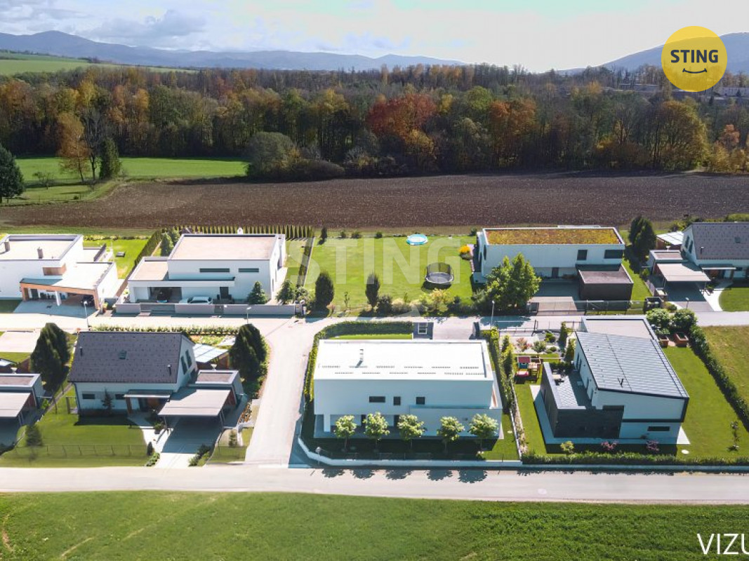 vizu2.jpg