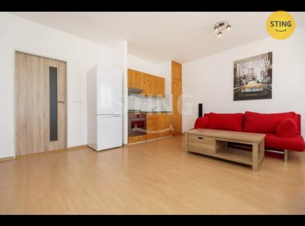 stažený soubor - 2025-11-08T190214.094.jpg | Pronájem bytu, 1+kk, 40 m²