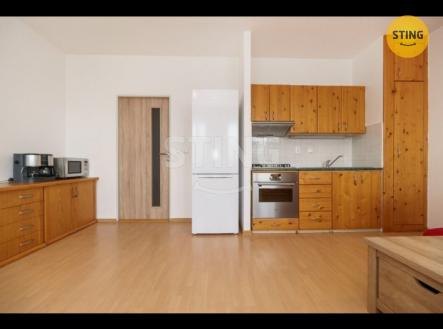 stažený soubor - 2025-11-08T190242.295.jpg | Pronájem bytu, 1+kk, 40 m²